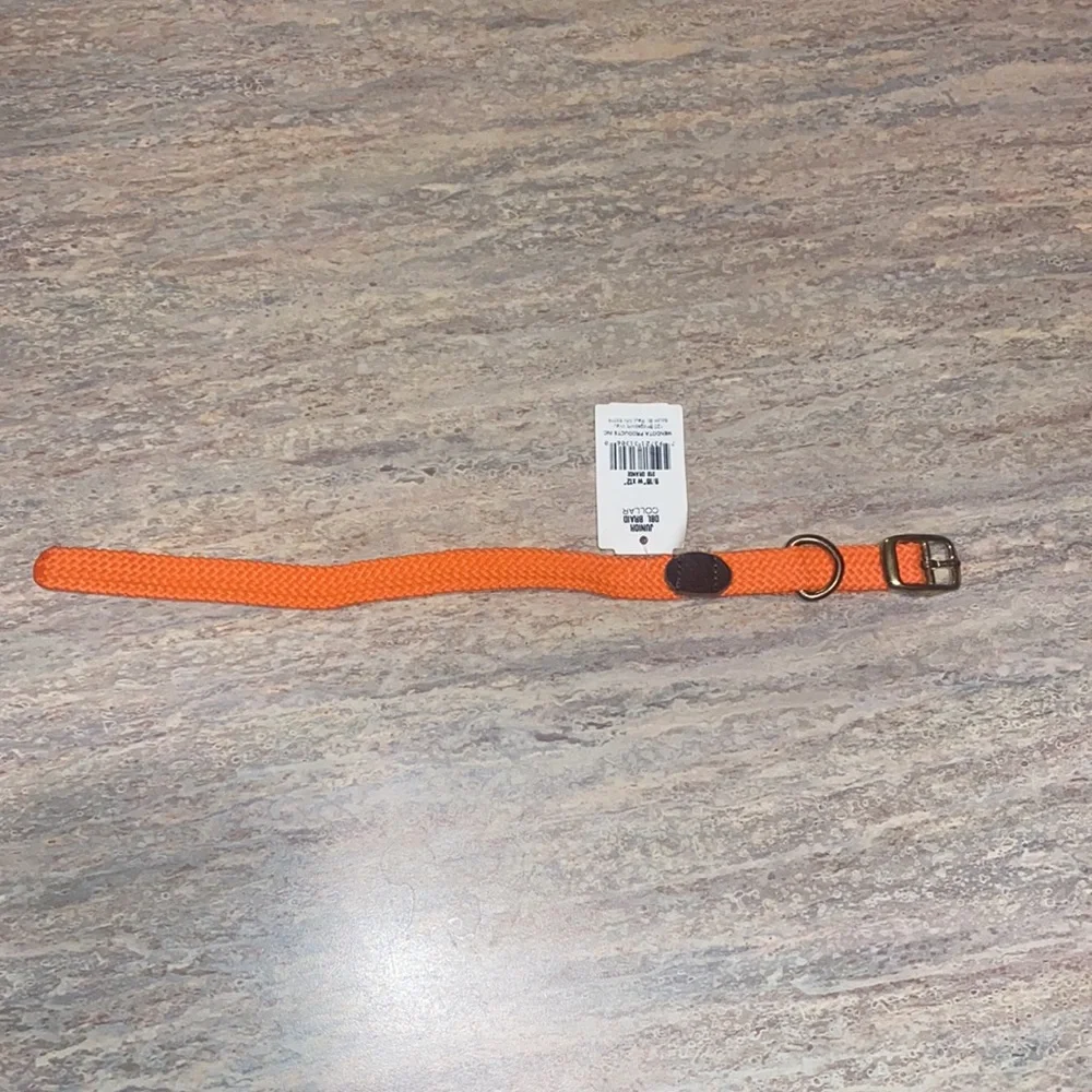 NEW Orange Dog Collar